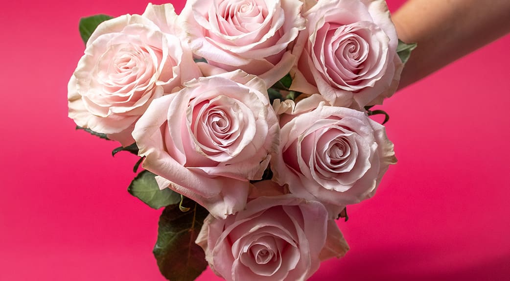 tisane rose bienfaits