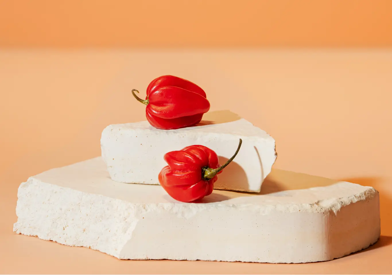acerola cerise vitaminee des barbades